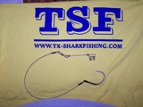 TSF_009.jpg