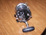 TSF_026.jpg