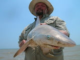 beach_006.jpg