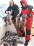 blackfishon11-27-08002-1.jpg