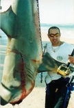 bull4-picture8.jpg