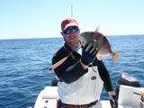 fish3.jpg