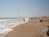 group1_122.JPG