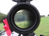 n8342298_54256127_1303750.jpg