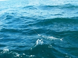 offshore_8-24_007.jpg