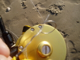 pinswept20-23_018.jpg