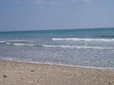 pinswept20-23_023.jpg