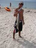 shark_08.jpg