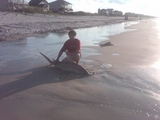 shark_pic_3.jpg