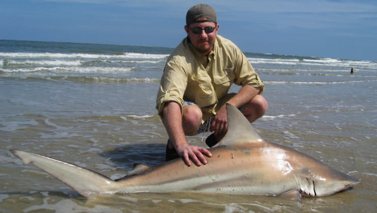 Blacktip Shark