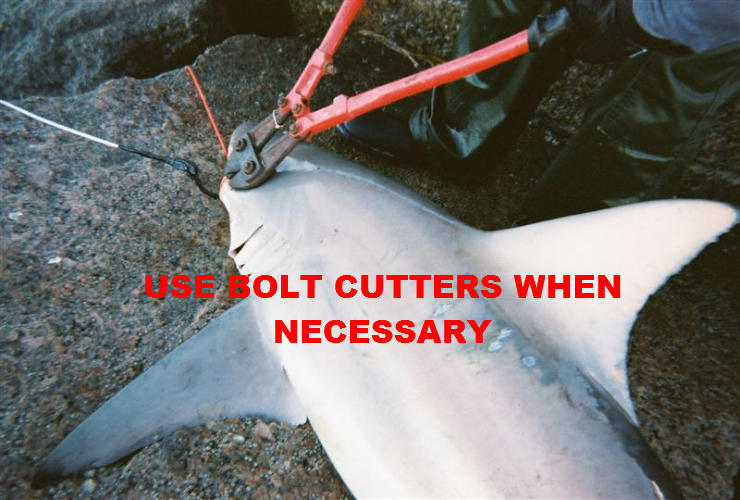 Don't forget your bolt cutters