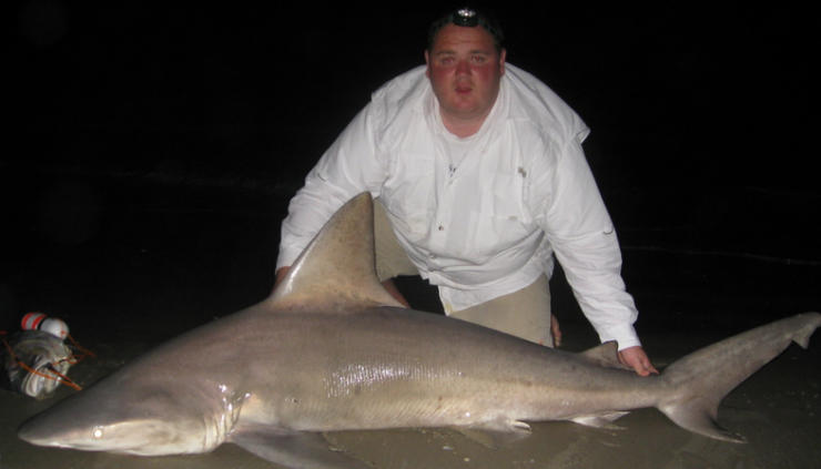Sanbar Shark
