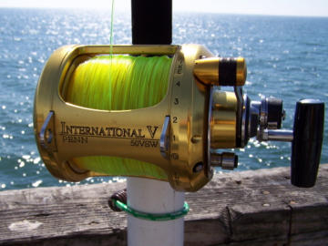 shark fishing rod and reel