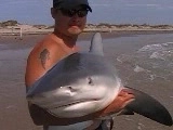 holding up a shark