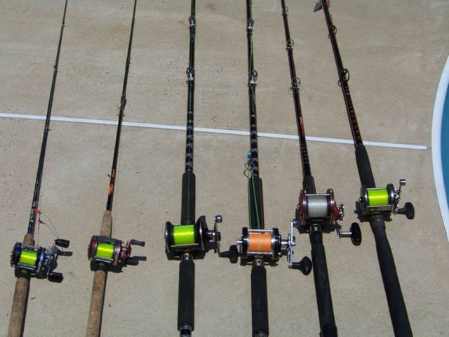 shark fishing rod and reel
